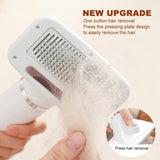 Pet Electric Comb Cat And Dog Brushing Cleaning Hair Dryer, EU Plug, US Plug, UK Plug, AU Plug