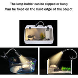 ZY-UAB Turtle Backlight UVA Heated Climbing Pet Backlight,, EU Plug With Bulb, US Plug Without Bulb