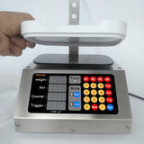 Weighing Automatic Quantitative Small Liquid Dispensing Filling Machine, US Plug, CSY-1810