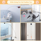 Epoxy Sucker Long Rod Funny Cat Stick Cat Toy, Burlap Bird, Chongming Bird, Kong Xuan Birds, White Night Birds, Jingwei Birds, White Cockroach, Vida Bird, Jade Birds, Long -tailed Birds, Hibiscus Birds, White Feathers, Black Feathers, Pink Feathers