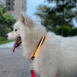 LED Rechargeable Wear-resistant and Waterproof Pet Lighting Collar, Size:, XS, S, M, L