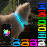 LED Rechargeable Wear-resistant and Waterproof Pet Lighting Collar, Size:, XS, S, M, L