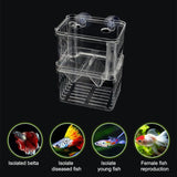 Peacock Fish Double Layer Transparent Breeding Isolation Box Aquarium Breeding Box, Small, Large, Extra Large