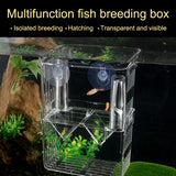 Peacock Fish Double Layer Transparent Breeding Isolation Box Aquarium Breeding Box, Small, Large, Extra Large