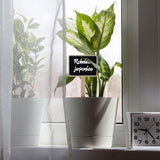 ZX507 10pcs Wooden Plug-in DIY Message Board Mini Plant Name Tags Desktop Display Board