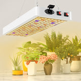 Plant Growth Light LED Full Spectrum Fill Light, Small, Large