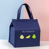 Square Fruit Large Capacity Picnic Insulation Bag Waterproof Bento Bag