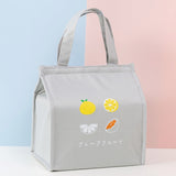 Square Fruit Large Capacity Picnic Insulation Bag Waterproof Bento Bag