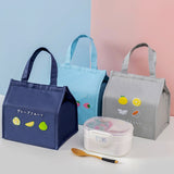 Square Fruit Large Capacity Picnic Insulation Bag Waterproof Bento Bag