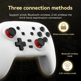 Wireless Bluetooth Somatosensory Vibration Gamepad For Nintendo Switch/Switch PRO