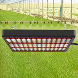 Quantum Plant Growth Lighting Outdoor Full Spectrum Planting Lamp, Large 169 LEDs, Small 81 LEDs