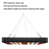 Quantum Plant Growth Lighting Outdoor Full Spectrum Planting Lamp, Large 169 LEDs, Small 81 LEDs