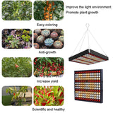 Quantum Plant Growth Lighting Outdoor Full Spectrum Planting Lamp, Large 169 LEDs, Small 81 LEDs