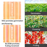 Plant Growth Light Waterproof Full-spectrum Fill Light, 204 LEDs (EU Plug), 204 LEDs (US Plug), 204 LEDs (UK Plug), 204 LEDs (AU Plug)