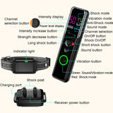 Remote Control Pet Electric Shock Circular Dog Trainer, Color Screen, Ordinary Screen, Color Screen Dragon Two