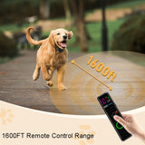 Remote Control Pet Electric Shock Circular Dog Trainer, Color Screen, Ordinary Screen, Color Screen Dragon Two