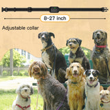 Remote Control Pet Electric Shock Circular Dog Trainer, Color Screen, Ordinary Screen, Color Screen Dragon Two