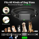 Remote Control Pet Electric Shock Circular Dog Trainer, Color Screen, Ordinary Screen, Color Screen Dragon Two