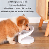 Pet Inclined Bowl Cervical Vertebra Protection Cat Food Bowl