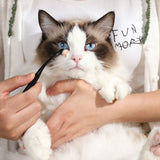 Pet Eye Cleaning Tear Stain Brush Eye Makeup Brush For Dogs And Cats