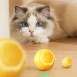 Intelligent Rolling Ball Cats Motorized Toy Pets Teasing Toys