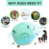 Pet Dogs Bite Resistant Educational Toys Outdoor Anti-Choking Teething Food Leakage Balls