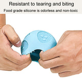 Pet Dogs Bite Resistant Educational Toys Outdoor Anti-Choking Teething Food Leakage Balls