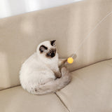 Suction Cup Funny Cat Wand Toy Cat Playing Pole, Feather Set White, Feather Set Pink, Table Tennis Set