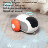 Remote Control Intelligent Dual Mode Electric Gravity Running Car Cat Toys