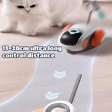 Remote Control Intelligent Dual Mode Electric Gravity Running Car Cat Toys