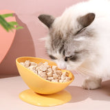 Tilted Teacup Pet Food Bowl Slanted Tall Bowl To Protect Cervical Cats Puppy General Purpose