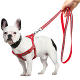 Small Medium Dogs Nylon Reflective Dog Leash Lead Set, S, M