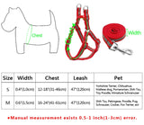 Small Medium Dogs Nylon Reflective Dog Leash Lead Set, S, M