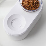 Transparent Pet Bowl Grain Storage Type Neck Protector Oblique Double Bowl, Oblique Double Bowl