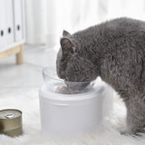 Transparent Pet Bowl Grain Storage Type Neck Protector Oblique Double Bowl, Oblique Double Bowl